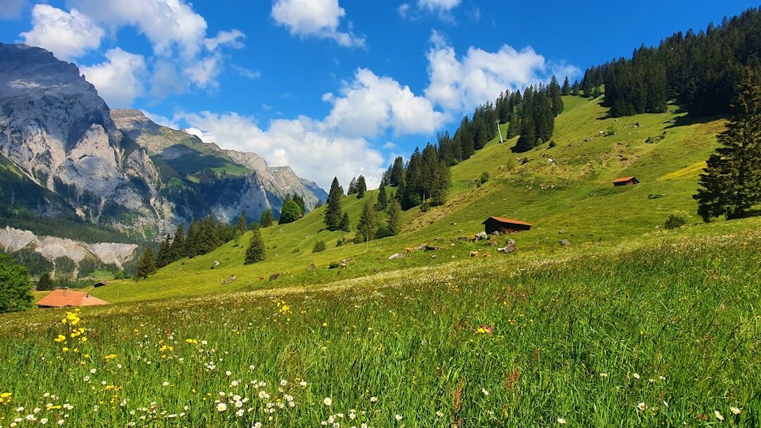 swiss mountains research