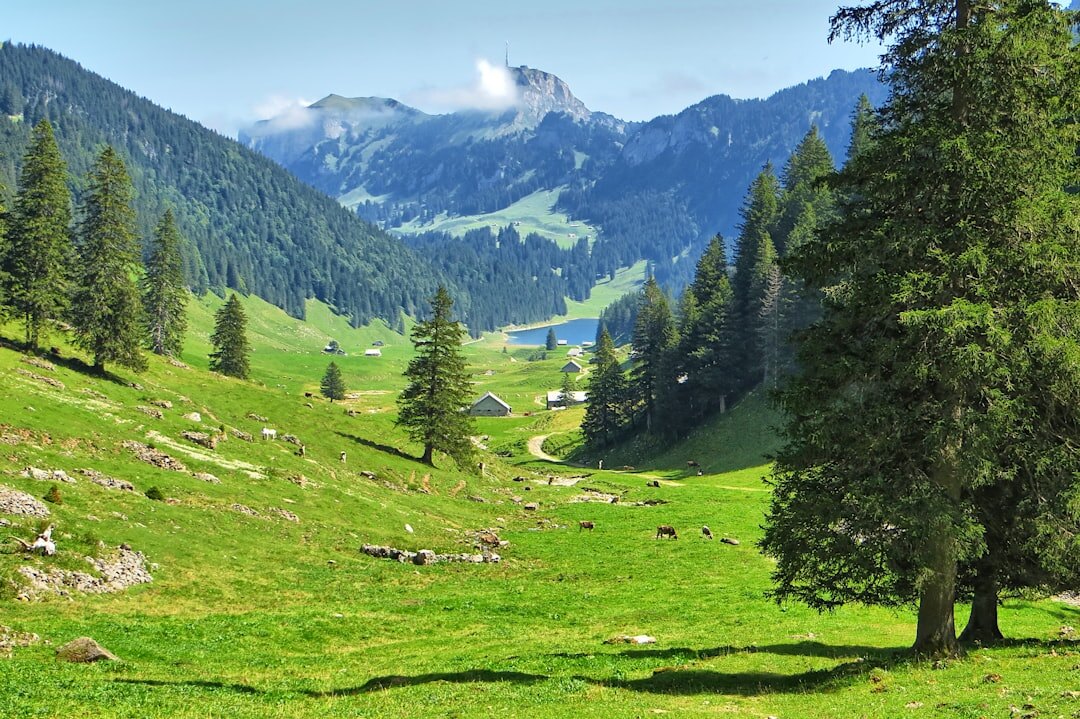 swiss alps landscape