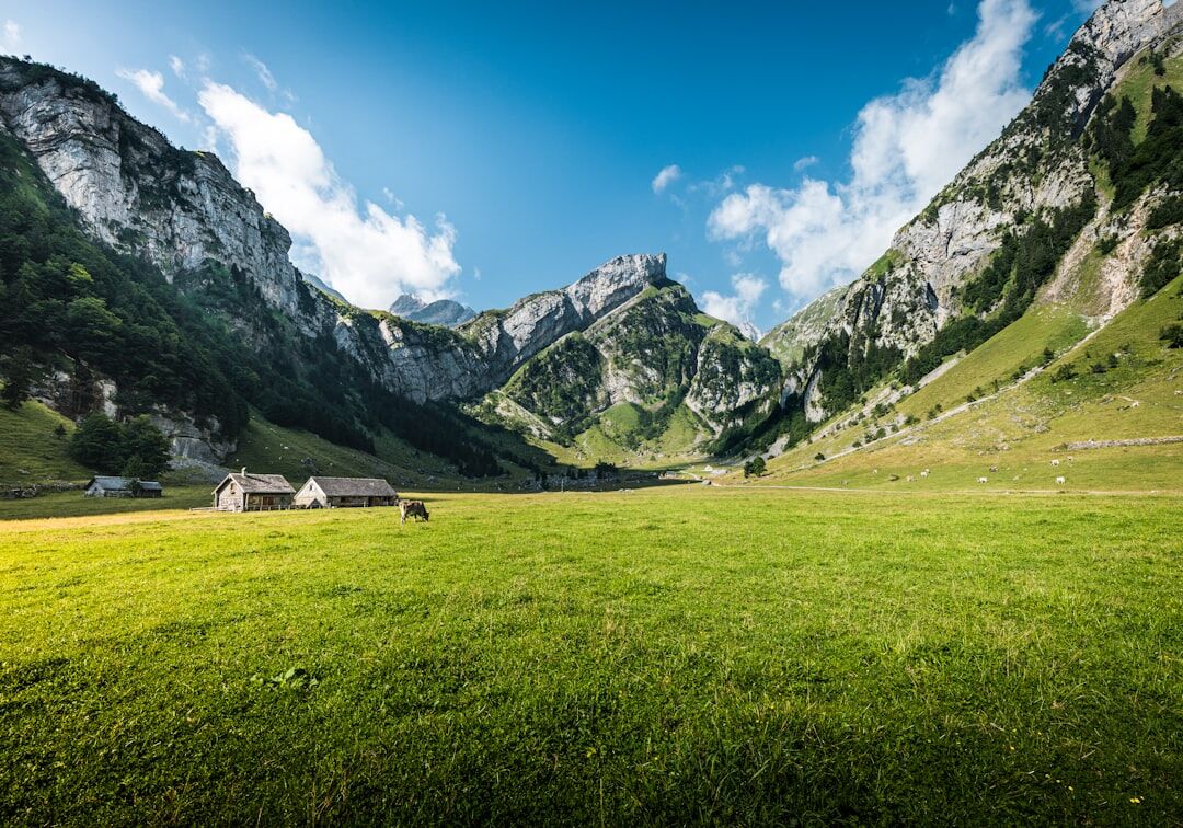 swiss mountains landscape