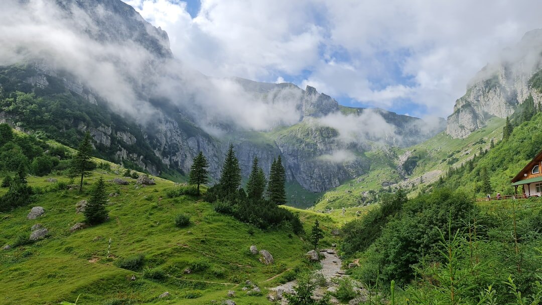 swiss alps mountain landscape