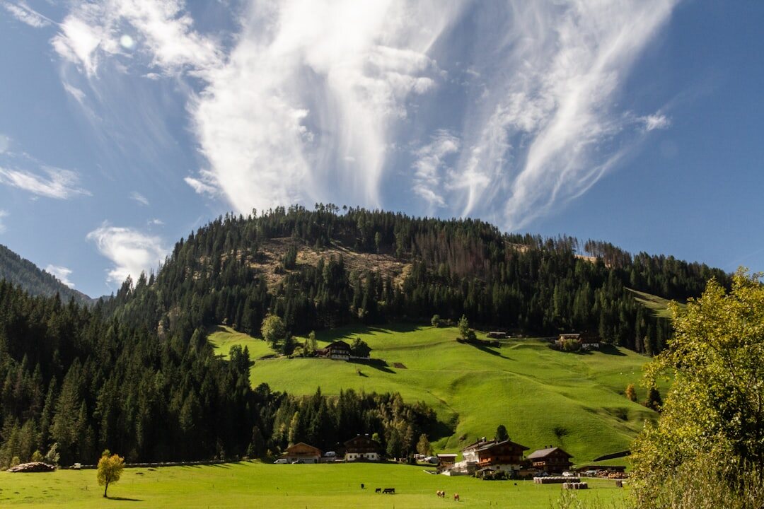 swiss flag waving
